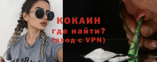 крисы Алексин