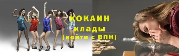крисы Алексин
